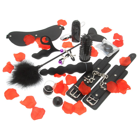 Amazing Pleasure Sex Toy Kit