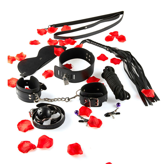 BDSM Starter Kit